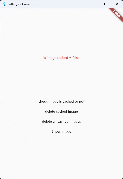 Caching with progress indicator and image  size